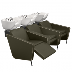 Парикмахерская мойка "IONIANWASH 3P SHIATSU"